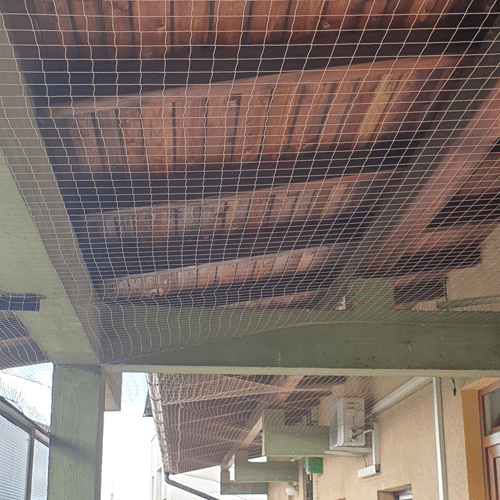 proti golobom zaščitne mreže