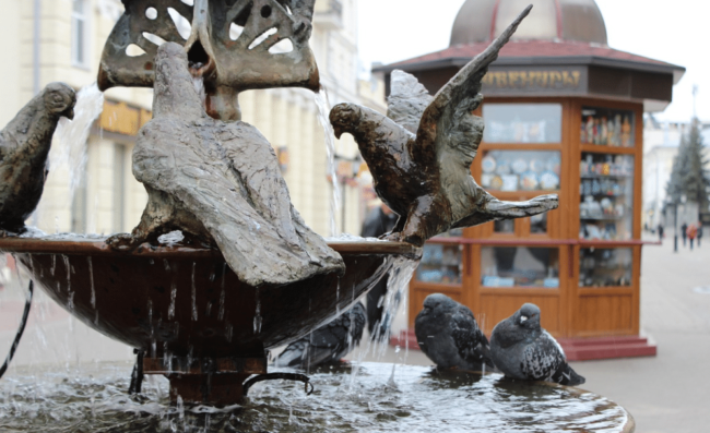 Health Hazards of Bird Droppings