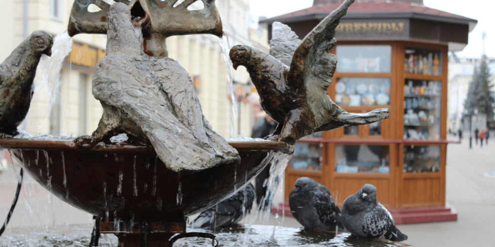 Health Hazards of Bird Droppings