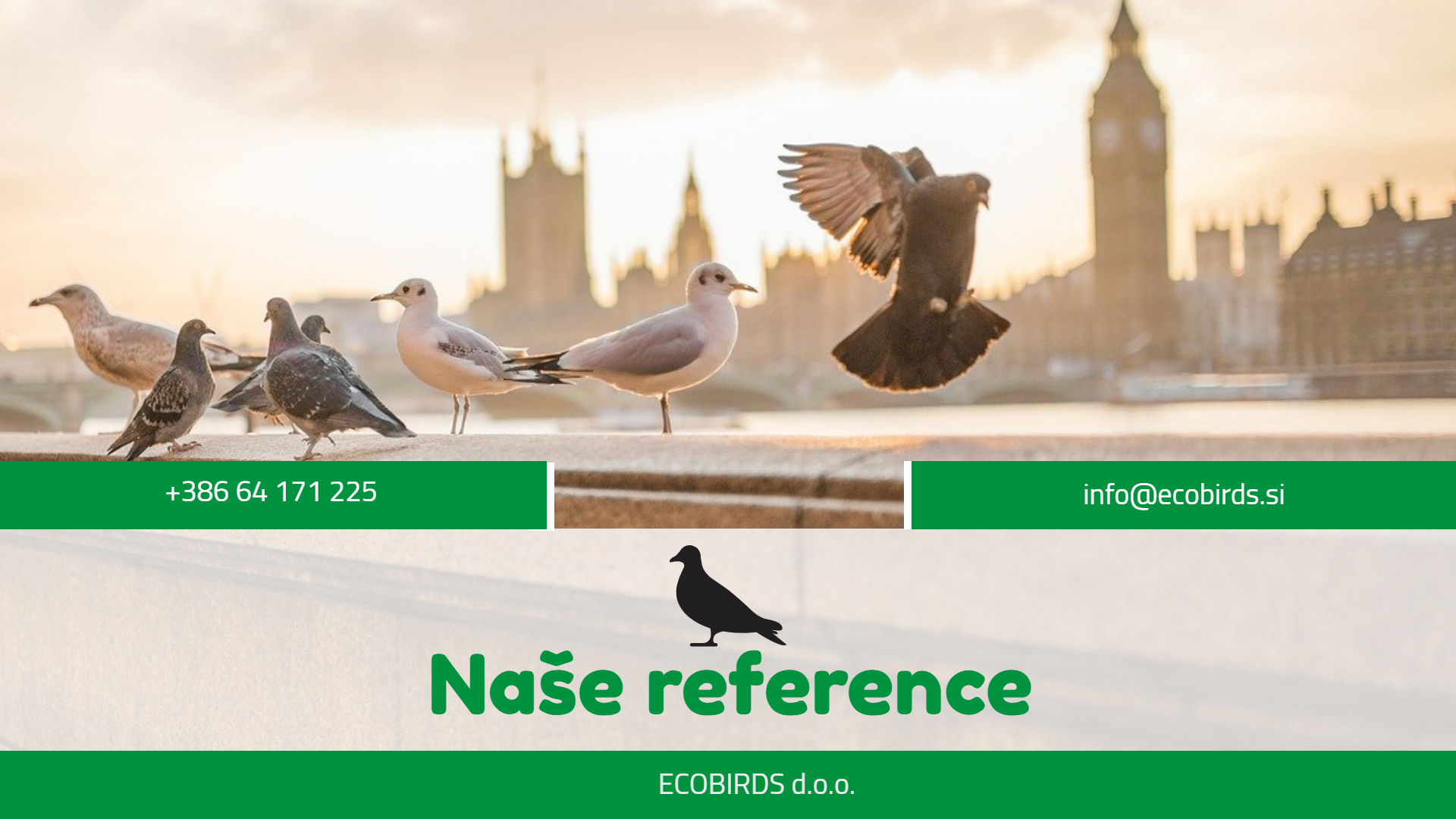 Reference ECOBIRDS – zaščita pred golobi in pticami na objektih v Sloveniji