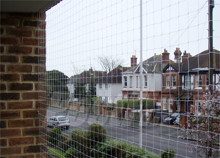 zaščitna mreža proti golobom na balkonu